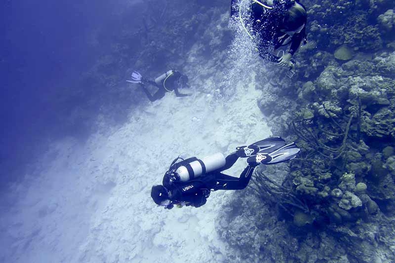 Reef Collapse at Keepsake Dive Site, Klein Bonaire