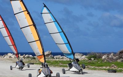 The Wind is Back – Time for Landsailing!