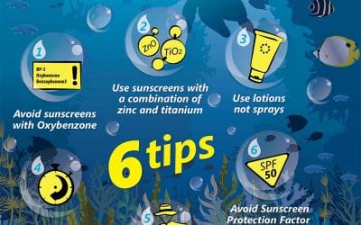 6 Top Tips for Choosing an Environmentally Friendly Sunscreen