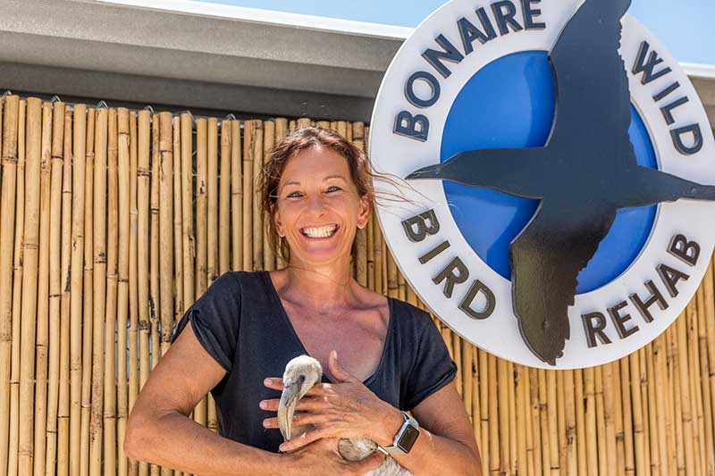 Bonaire Wild Bird Rehab helps Bonaire's birds.