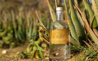 Salú! Bonaire’s Cadushy Premieres the First Caribbean Gin
