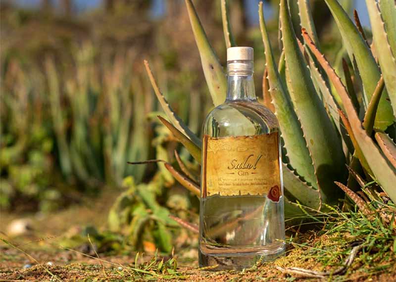 Bonaire's Cadushy Distillery premieres the first Caribbean gin.