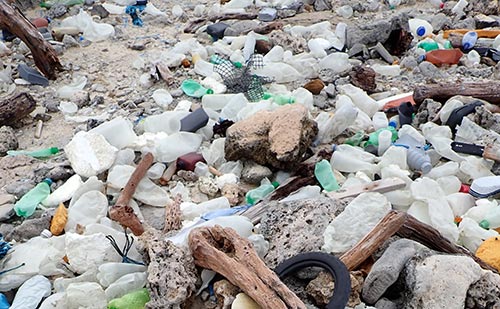 Plastics wash ashore on Bonaire's east coast.