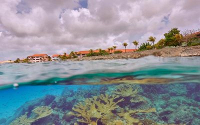 Stay and Unwind at Sand Dollar Bonaire