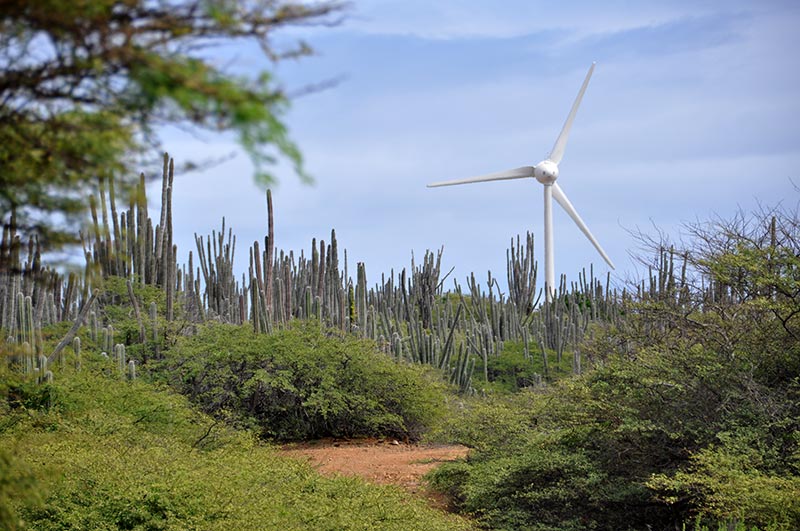 A windmill in the Bonaire windpark by Morotin.