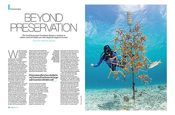 Article by Andrew Jalbert in Diver Magazine.