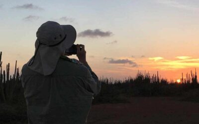 10 Tips for Better Bonaire Bird Photography