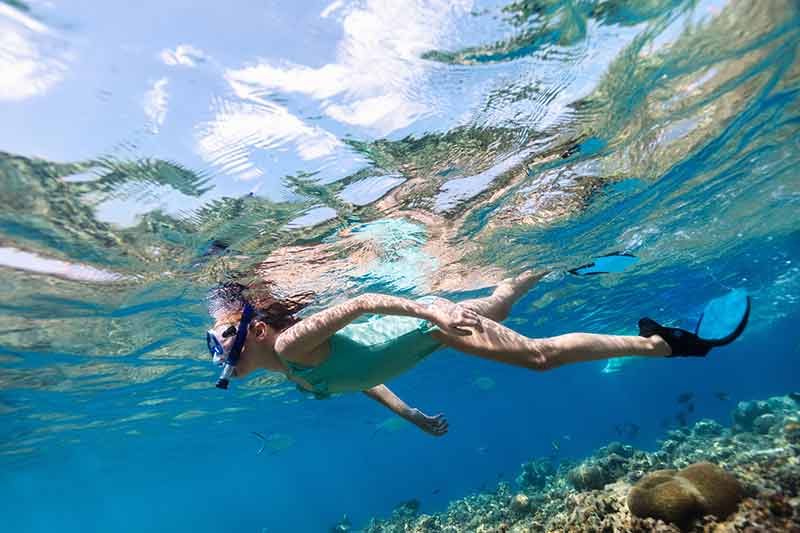 A snorkeler enjoys a Bonaire reef.