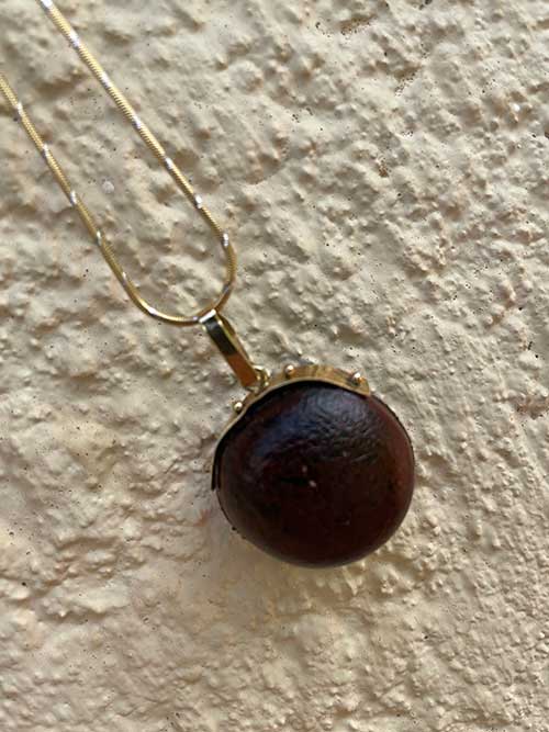 A pendant made from a Bonaire lucky bean.