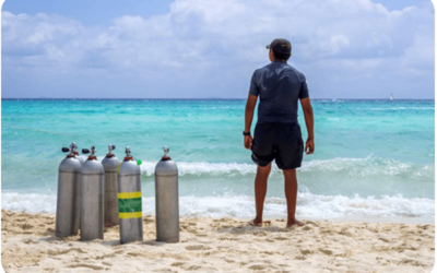 Bonaire Wins 10 Awards in Scuba Diving Magazine’s 2024 Reader’s Choice