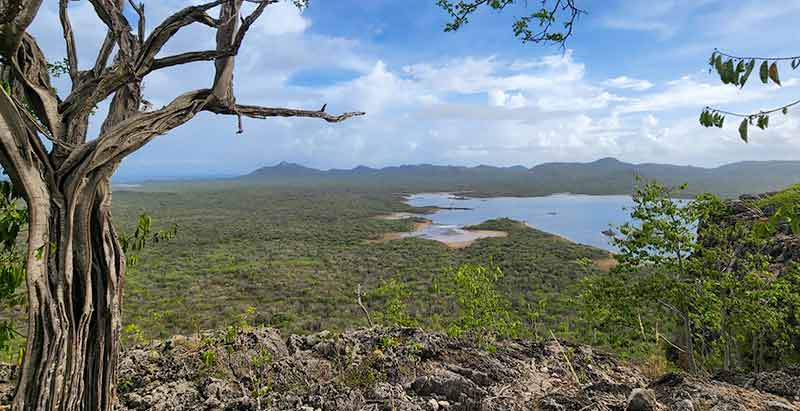 Experience Bonaire on a hike with a trained tour guide