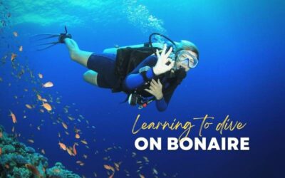 Learning to Dive on Bonaire
