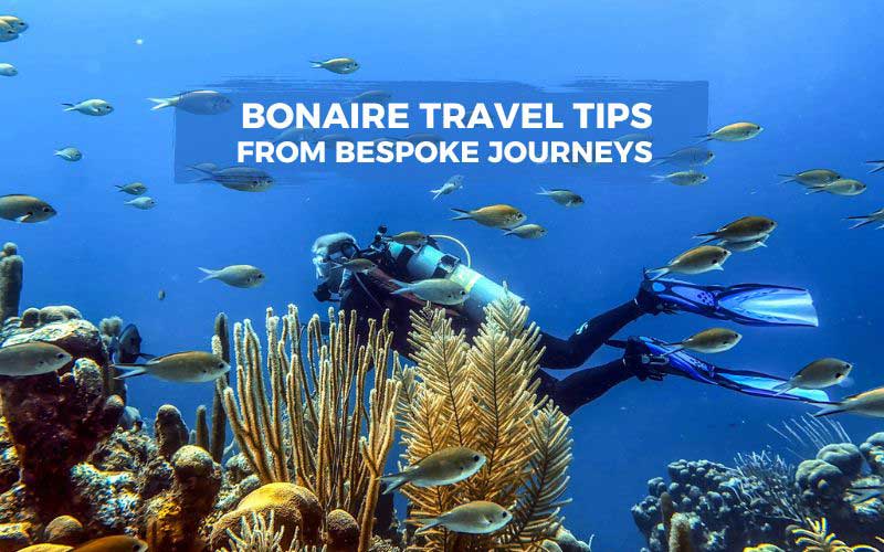 Bonaire travel tips from Bespoke Journeys Travel Specialists
