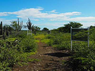 Walk through history on Bonaire Walk through history on Bonaire