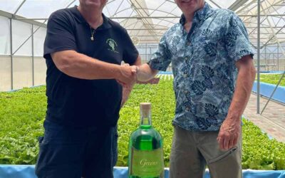 Lettuce Gin: Worldwide Trend Coming to Bonaire