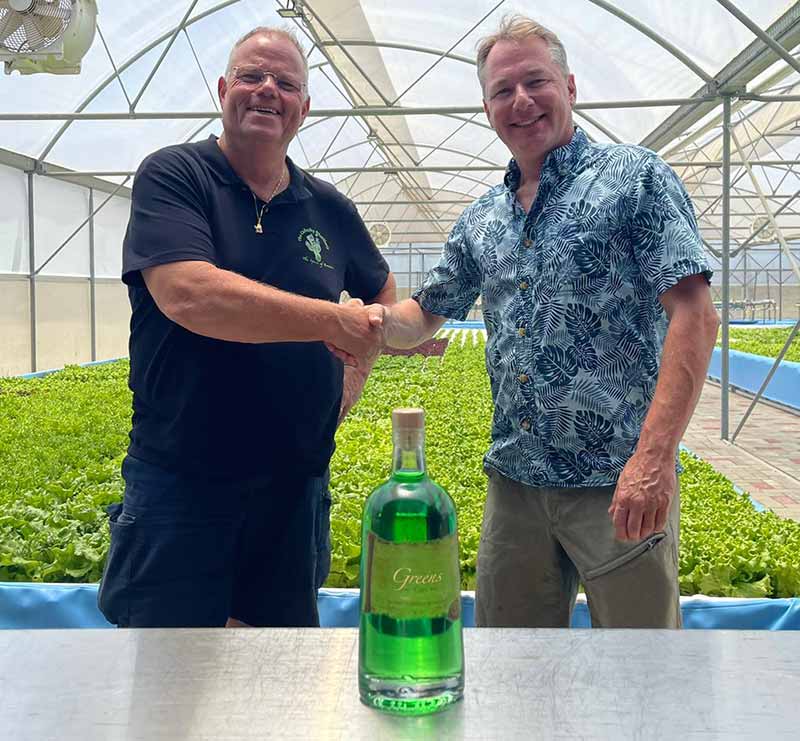 Greens Gin is a healthy Lettuce Gin made on Bonaire.