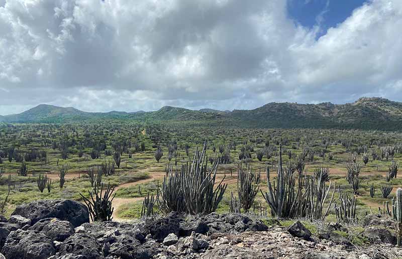 A view within the Washington Slagbaai National Park on Bonaire.