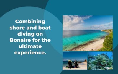 Combining Shore and Boat Diving on Bonaire for the Ultimate Experience