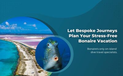 Let Bespoke Journeys Plan Your Stress-Free Bonaire Vacation