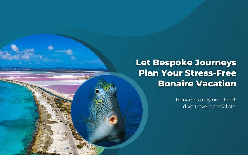 IRIE Sports & Wellbeing Bonaire - InfoBonaire