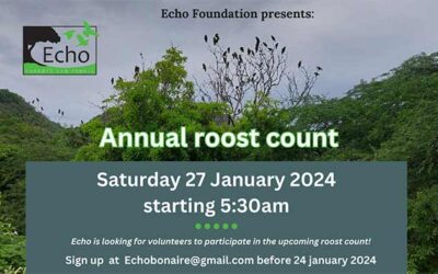 Echo Foundation is Urgently Looking for Annual Roost Count Volunteers