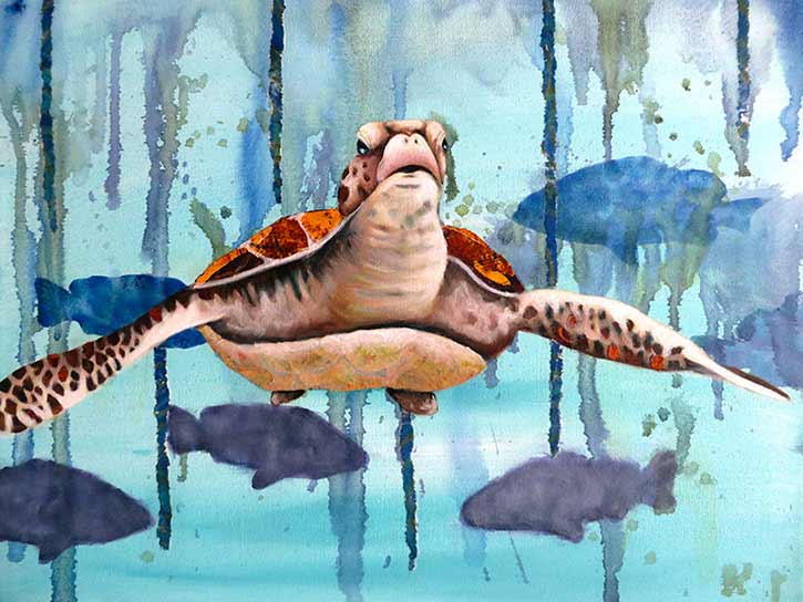 PAPER-artist-turtle-by-Gabrielle-Wilson