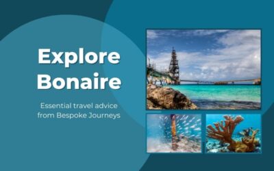 Explore Bonaire: Essential Travel Advice from Bespoke Journeys