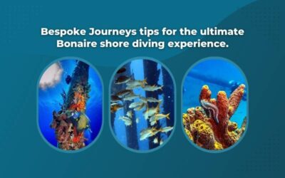 Bespoke Journeys Tips for the Ultimate Bonaire Shore Diving Experience