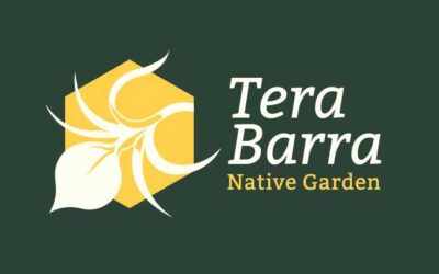 Tera Barra Hosts a Digital Auction for a Greener Bonaire