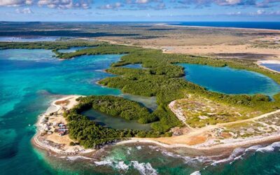 Vote for Bonaire in the 2024 Caribbean Green Awards