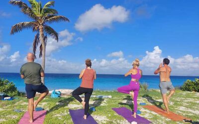 Explore a Range of Weekly Classes with Zest for Life Yoga