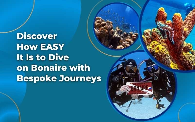 Discover how easy it is to Dive on Bonaire with Bespoke Journeys