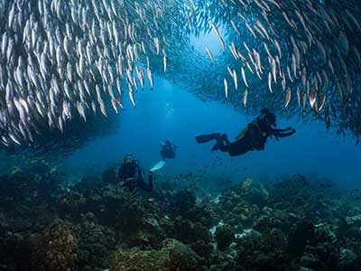 Exploring the underwater wonders of Bonaire with perfect buoyancy.