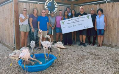 The Cadushy Distillery Supports Wild Bird Rehab Bonaire with Tenth Donation