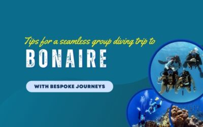 Tips for a Seamless Group Diving Trip to Bonaire with Bespoke Journeys