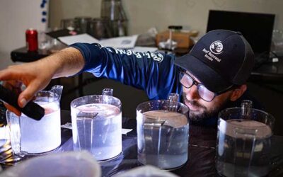 Reef Renewal Produces Over 236,000 Coral Larvae