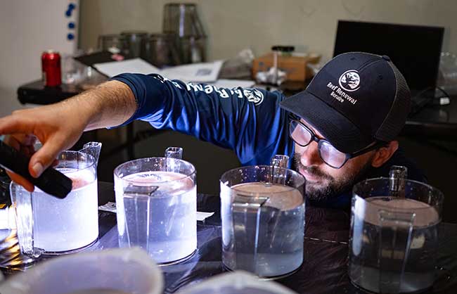 Reef Renewal Foundation Bonaire (RRFB) Chief Operating Officer Ernst Noyons checks on mixtures of coral sperm and egg during the fertilization process.