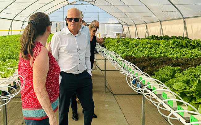 Self-Sufficiency in the Caribbean Parts of the Kingdom. Self-Sufficiency in the Caribbean Parts of the Kingdom.