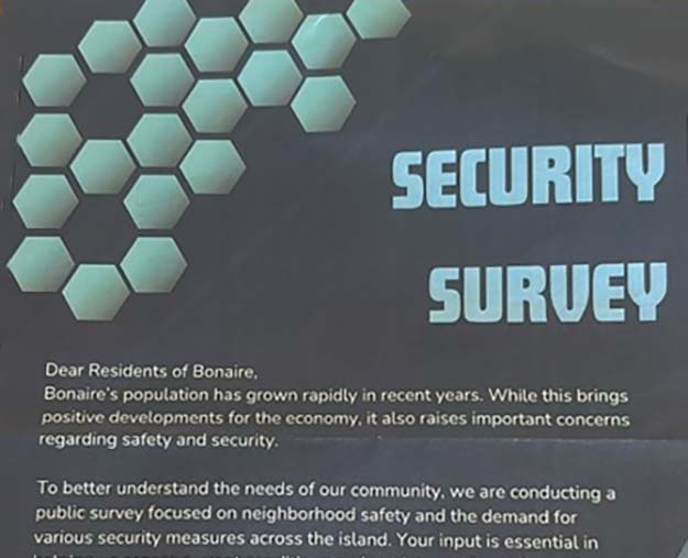 Beware of the Cyber Security Flyer