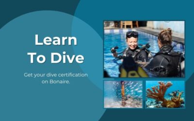 Get Your Dive Certification on Bonaire