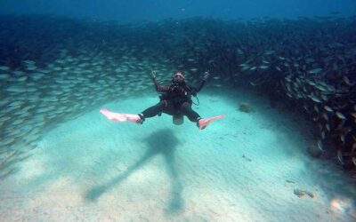 Why More Women Should Dive – Celebrating PADI Women’s Dive Day