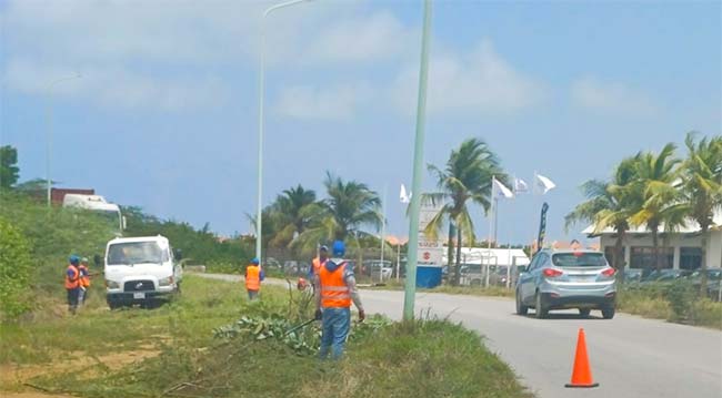 Clearing crews are removing branches for road safety on Bonaire. Clearing crews are removing branches for road safety on Bonaire.