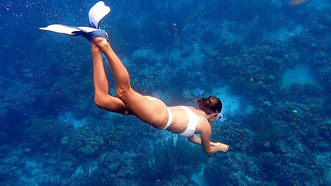 Experience Freediving with Life at 8 Knots Experience Freediving with Life at 8 Knots