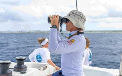 Blue Defenders & RoffaReefs Join Forces for Marine Research