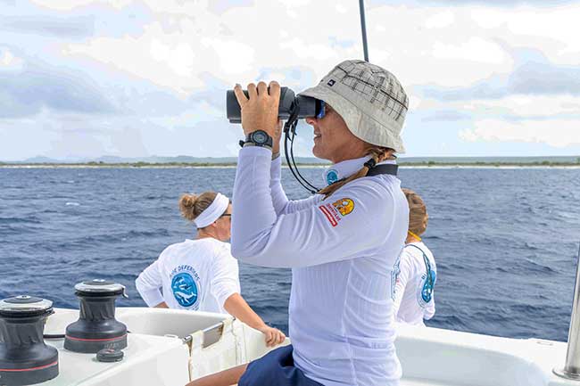 Blue Defenders & RoffaReefs Join Forces for Marine Research