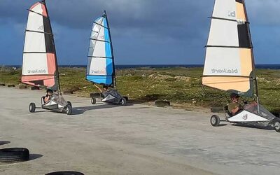 Recommended Activities & Experiences on Bonaire