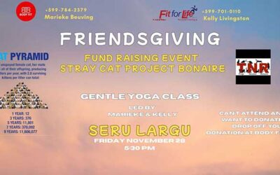 Friendsgiving Yoga Fundraising Event for the Stray Cat Program