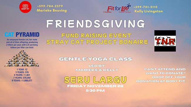 Friendsgiving Fundraiser for the Stray Cat Project Friendsgiving Fundraiser for the Stray Cat Project