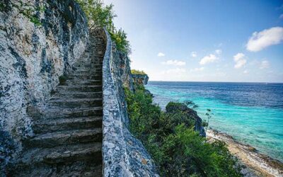 Bonaire is a Nominee for Best Caribbean Island to Visit