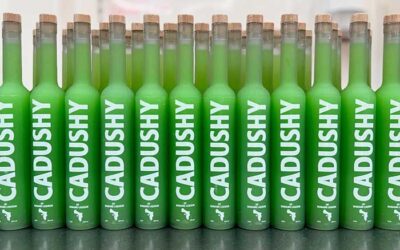 The Cadushy Distillery Launches the Cadushy Impact Edition: A Bottle with a Purpose